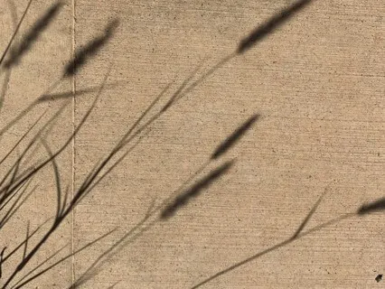 Breathing Meditation & Poem: Your Breath