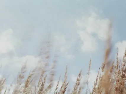 Breathing Meditation for Anxiety & Sleep (with Sound Bowls)