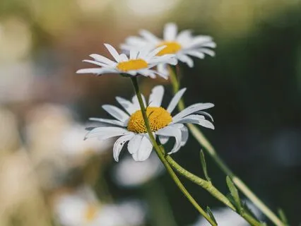 Breathing Meditation For Calm And Clarity