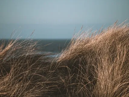 Breathing Meditation For Calm & Peace