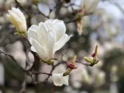 Breathing Meditation For Daily Life (3 Minutes)