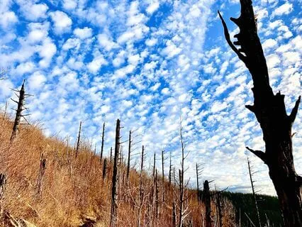 Breathing Meditation For Deepening Self-Love