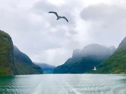 Breathing Meditation For Flow, Stress And Happy Place