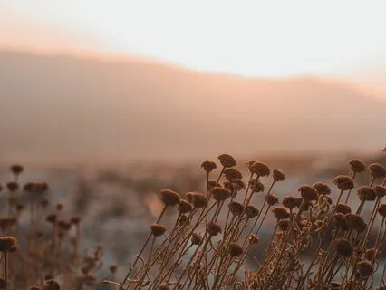 Breathing Meditation For Focus
