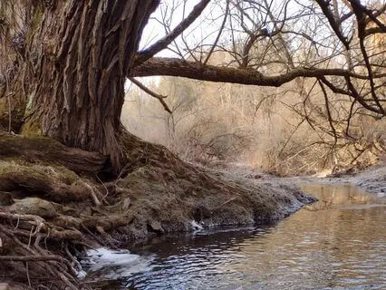 Breathing Meditation For Grounding