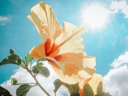 Breathing Meditation For Increased Energy