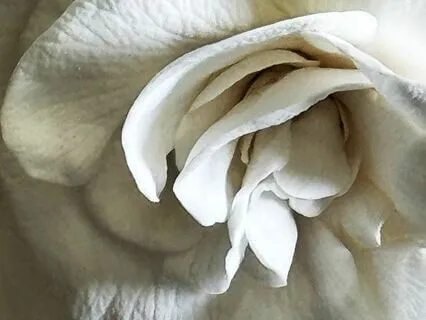 Breathing Meditation For Inner Strength