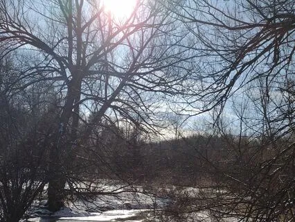 Breathing Meditation For Mental Focus