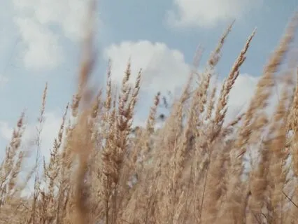 Breathing Meditation for Sleep (4-2-4-2)