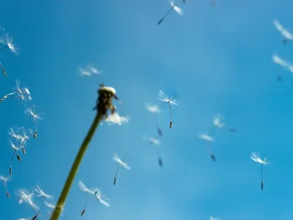 Breathing Meditation For Stress Relief