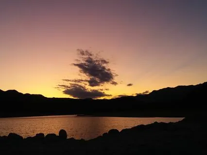 Breathing Meditation: Like A Plant In Water