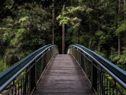 Breathing Meditation (short)