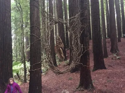 Breathing Meditation to Accept & Let Go