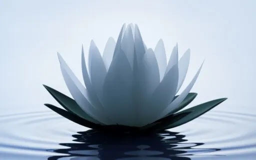 Breathing Meditation To Calm The Mind