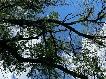 Breathing Meditation To Control Emotions - Emotional Mind