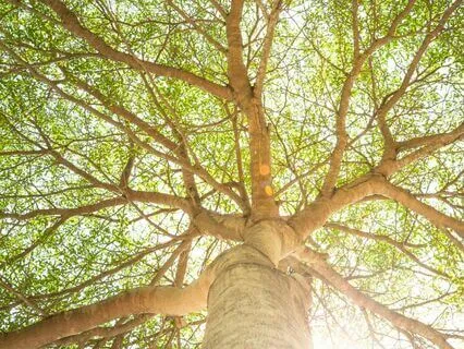 Breathing Meditation to Relax, find Clarity and Inner Peace