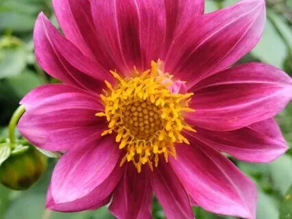 Breathing Meditation To Wake Up Your Lungs