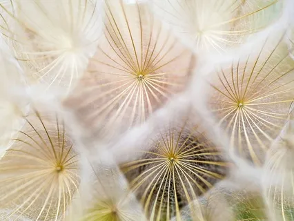 Breathing Meditation