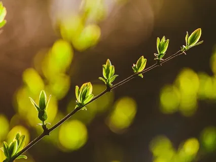 Breathing New Beginnings