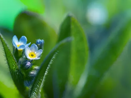 Breathing Positively 