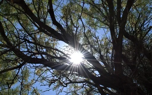 Breathing Practice To Slow Down & Focus