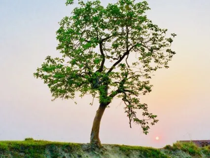 Breathing Relaxation 1