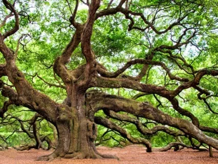 Breathing Relaxation 3