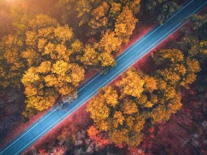 Breathing Relaxation 