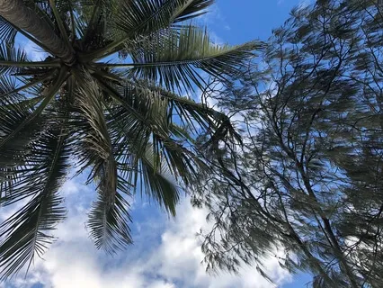 Breathing Self-Compassion