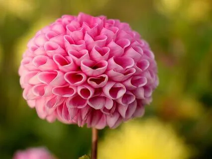 Breathing Self-Compassion Meditation