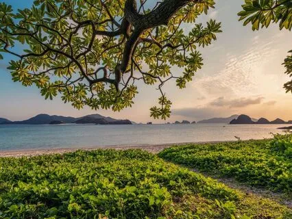 Permission To Feel: Breathe, Soften, Let Go