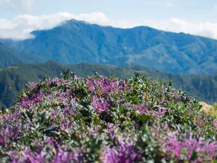 Breathing Space - With Music