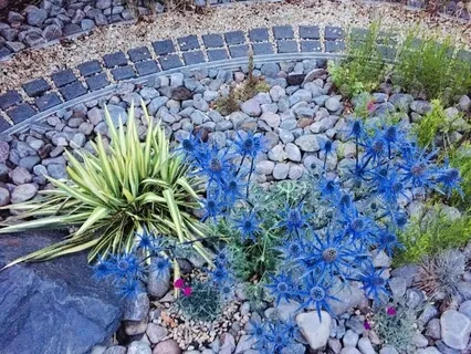 3-Step Breathing Space Meditation