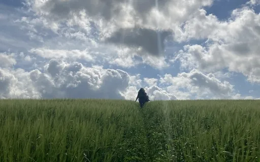 Breathing Space For Wise Compassionate Action