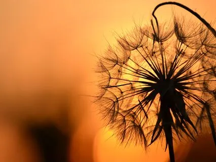 Breathing Space: Opening The Body Door