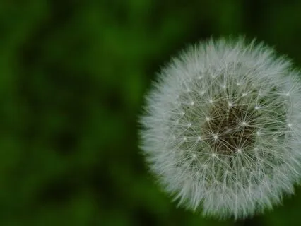 Breathing Space: Opening The Thought Door