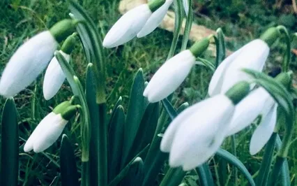 Breathing Space With Compassion