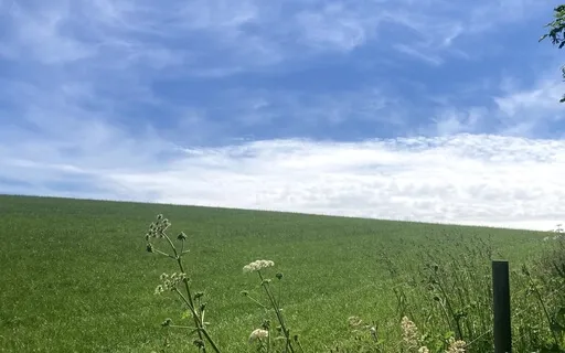 Breathing Space With Compassionate Breathing