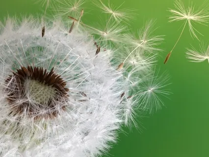 Breathing Space With Kindness