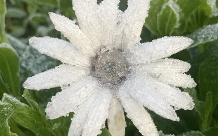 Breathing Space With Kindness