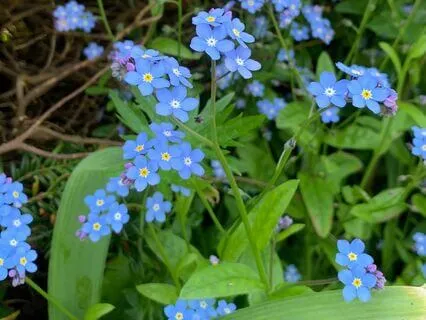 Breathing Space With Kindness Meditation