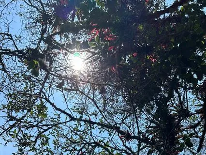 Breathing Spacious Meditation - Beginners Short Meditation