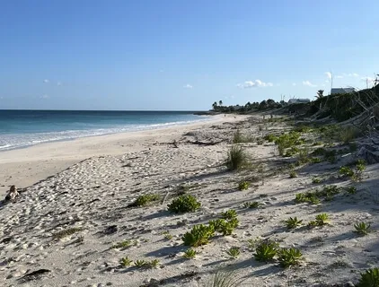 Breathing Technique To Calm The Body And Mind