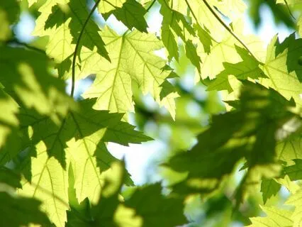 Breathing Techniques For Anxiety Relief