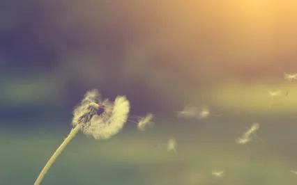 Breathing The Name (YHWH)