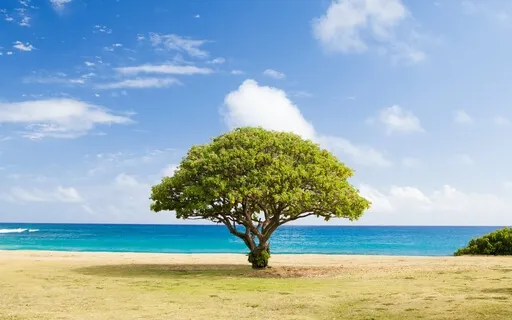 Breathing Through Anxiety