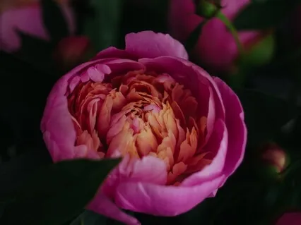 Breathing Through Anxiety