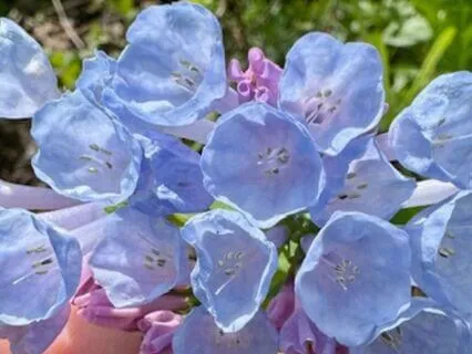 Breathing Through Change