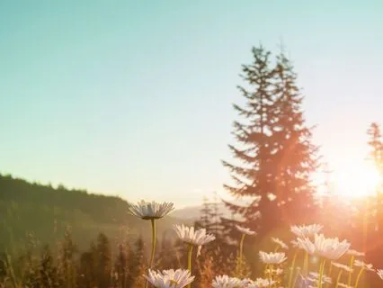 Breathing Through Grief