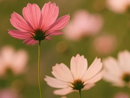 Breathing Through Life And Procrastination